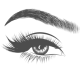 lhtc 4